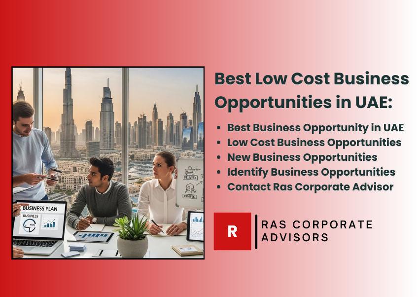 Low Cost Business Opportunities in UAE: A Global Guide for Smart Investors