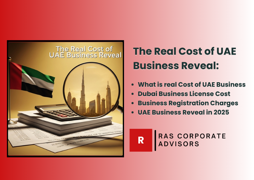 The Real Cost of UAE Business Reveal: Setting Up Your Company in 2025