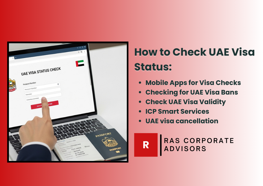 How to Check UAE Visa Status with Passport number Online? (2025 guide)
